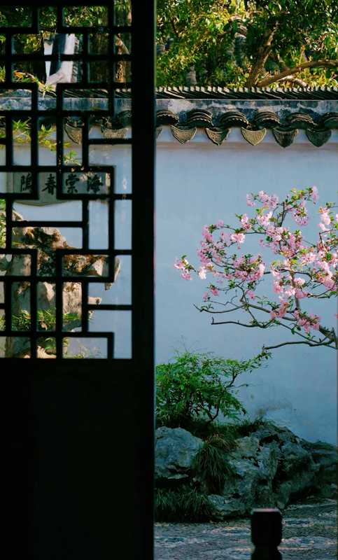 苏州旅行实战复盘：基于动线优化的两日游核心逻辑与避坑指南