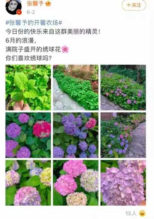  退役后的何捷：广州大学消防演习现场的硬汉风采与职业延续 新闻 退役后的何捷：广州大学消防演习现场的硬汉风采与职业延续 新闻