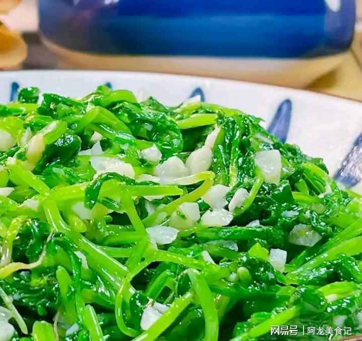  谷雨养生深度解析：萝卜秧苗的生物活性成分与烹饪温度控制技术 健康养生