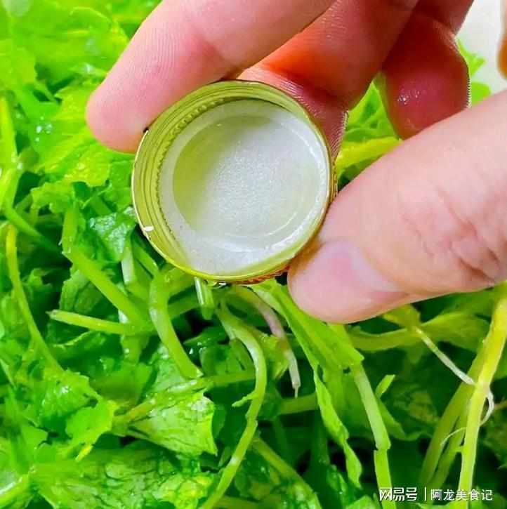  谷雨养生深度解析：萝卜秧苗的生物活性成分与烹饪温度控制技术 健康养生