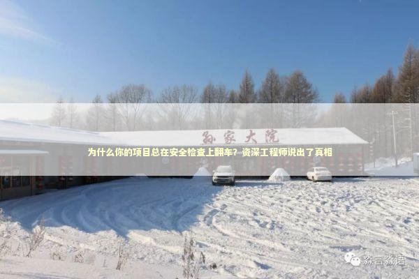 为什么你的项目总在安全检查上翻车？资深工程师说出了真相 IT技术