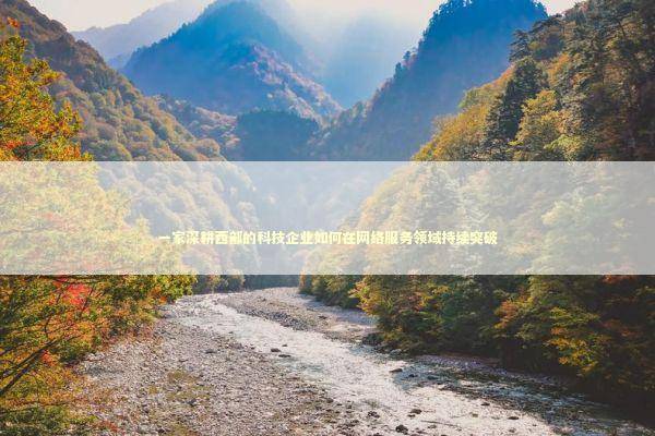 一家深耕西部的科技企业如何在网络服务领域持续突破 IT技术