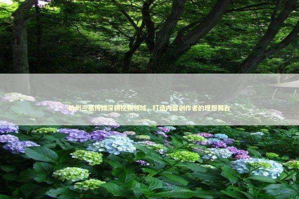 杭州三基传媒深耕视频领域，打造内容创作者的理想舞台 企业服务