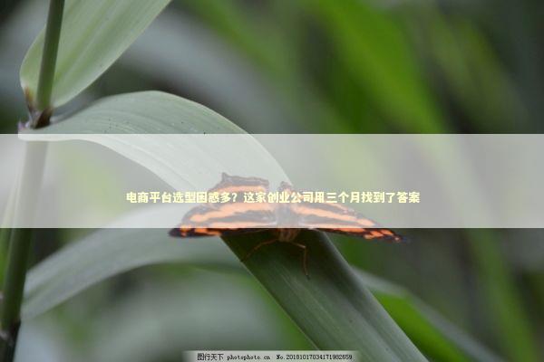 电商平台选型困惑多？这家创业公司用三个月找到了答案 IT技术