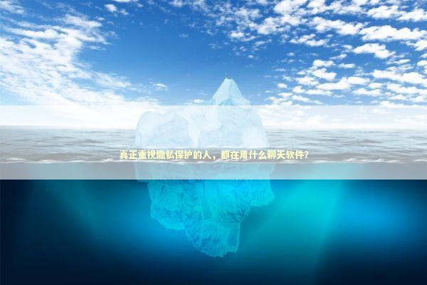 真正重视隐私保护的人，都在用什么聊天软件？ IT技术